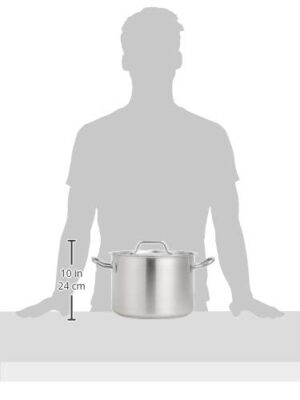Amazon Basics Marmite avec couvercle Acier inoxydable avec revetement aluminium 9.5 litres, Argente (Anciennement marque AmazonComme
