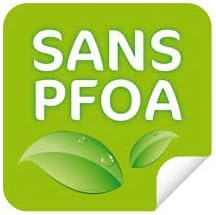 Cflagrant PETIT Faitout Facon Pierre avec Couvercle Tous Feux Dont Induction Sans PFOA Cuisson Sans Matiere Grasse Revetement en Gr