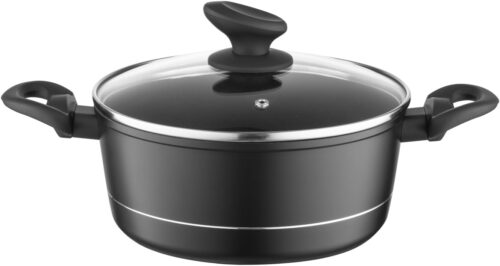 FLORINA Faitout Aluminium (2,1 l) I Diametre de 20 cm I Marmite avec Couvercle en Verre DELUX I Casserole avec Fond a Induction I Fa