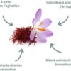 BLANCHE BRESSON - Safran Bio SafrInsideTM - Humeur Positive Serenite - Extrait Brevete Tech'care ExtractionTM - Dosage Optimal 30mg