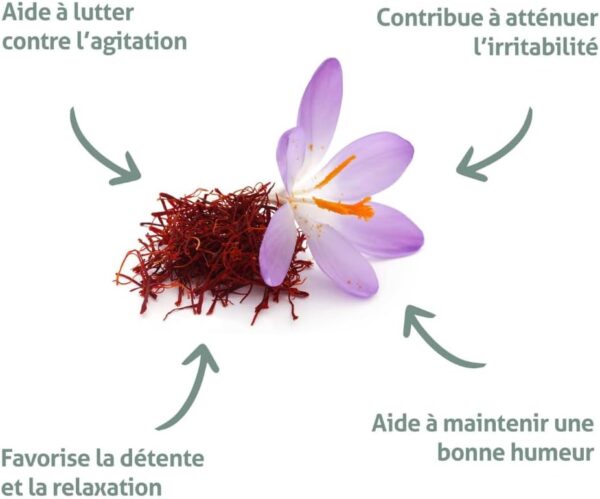 BLANCHE BRESSON - Safran Bio SafrInsideTM - Humeur Positive Serenite - Extrait Brevete Tech'care ExtractionTM - Dosage Optimal 30mg