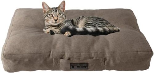 MaxCor Coussin Chien et Chat Rectangulaire a Memoire de Forme Orthopedique - Petit Beige - Impermeable et Relaxant - Soulage et Pres