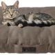 MaxCor Coussin Chien et Chat Rectangulaire a Memoire de Forme Orthopedique - Petit Beige - Impermeable et Relaxant - Soulage et Pres