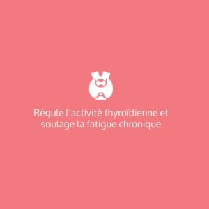 Complément thyroïde Phytocea Iode Sélénium Zinc Vit B1-B2