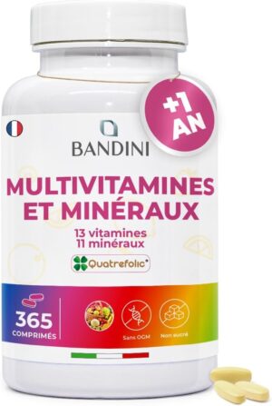 Bandini Multivitamines et Mineraux 365 Comprimes (1 An) - 24 Nutriments Essentiels dont Vitamines A B C D E K Calcium Magnesium Zin