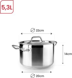 IBILI - Faitout avec couvercle inox Ebbe 22 cm, acier inoxydable 1810, compatible induction