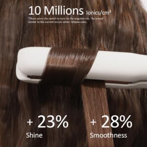 Faszin Lisseur Cheveux, Plaques en Titane Lisse, Chauffe Rapide en 20S, Fer a Lisser Ionique Protect, Ecran LCD, Voltage Universel,