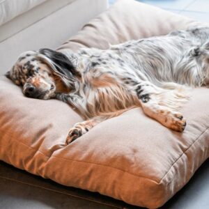 MaxCor Coussin Chien et Chat Rectangulaire a Memoire de Forme Orthopedique - Petit Beige - Impermeable et Relaxant - Soulage et Pres