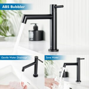 Ulytid Robinet Eau Froide Uniquement Noir, Robinet Lave Main Salle Bain avec Mousseur Amovible, Acier Inoxydable avec Hauteur sous B