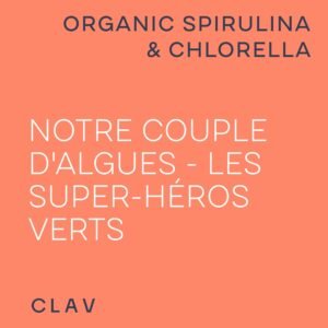Spiruline Chlorella BIO - 360 comprimes de 500mg - Qualite Superieur - Riche en Proteines, Mineraux Antioxydants - Hautement dose,