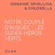 Spiruline Chlorella BIO - 360 comprimes de 500mg - Qualite Superieur - Riche en Proteines, Mineraux Antioxydants - Hautement dose,