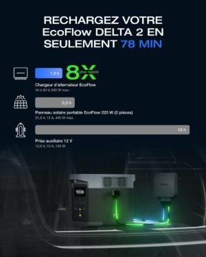 EcoFlow 800W chargeur batterie voiture 3-en-1 démarreur