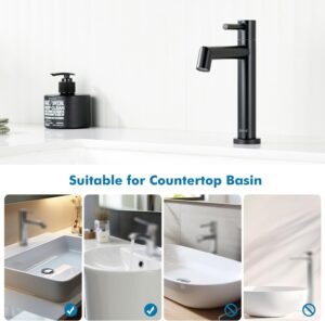 Ulytid Robinet Eau Froide Uniquement Noir, Robinet Lave Main Salle Bain avec Mousseur Amovible, Acier Inoxydable avec Hauteur sous B