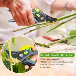 Sécateur de jardin professionnel lames inox antirouille