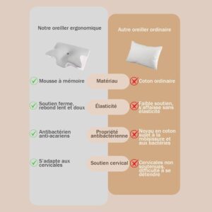 Oreiller cervical ergonomique mémoire de forme VD VENTDESIGN