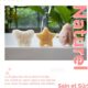myHomeBody Eponge de bain Konjac pour bebe, eponges de bain naturelles aux formes mignonnes pour les nourrissons et les tout-petits,