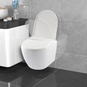 Toilette suspendue sans rebord céramique abattant D blanc