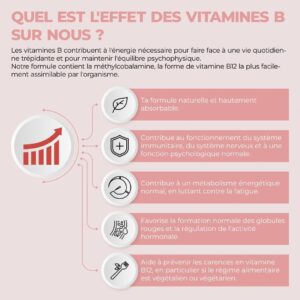 Bandini Vitamine B Complex 365 Comprimes Vegan (1 An) Vitamines group B dosage eleve B1, B2, B3, B5, B6, B8 (Biotine), B9 (Acide