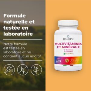 Bandini Multivitamines et Mineraux 365 Comprimes (1 An) - 24 Nutriments Essentiels dont Vitamines A B C D E K Calcium Magnesium Zin