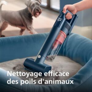 Aspirateur sans fil Philips 5000 Flex 60 min brosse animaux