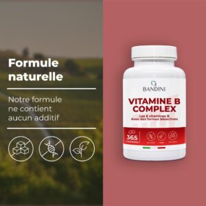 Bandini Vitamine B Complex 365 Comprimes Vegan (1 An) Vitamines group B dosage eleve B1, B2, B3, B5, B6, B8 (Biotine), B9 (Acide