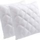 Oreillers mémoire de forme cervical 60 x 60 cm - Lot de 2