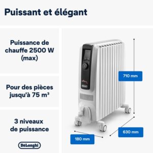 De'Longhi TRDX41025E Radiateur a huile Dragon 4, 2.5kw