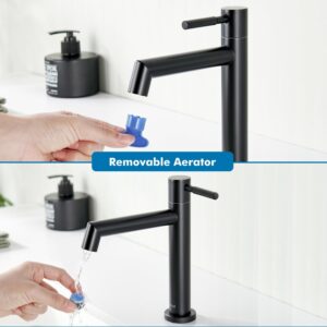 Ulytid Robinet Eau Froide Uniquement Noir, Robinet Lave Main Salle Bain avec Mousseur Amovible, Acier Inoxydable avec Hauteur sous B