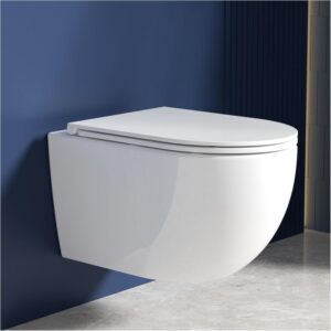 61oplFdvqHL._AC_SL1500_.jpg Rainsworth Superspin 360 Wall-Mounted Rimless Toilet Seat and Toilet Seat with Soft-Close Mechanism White