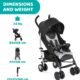 Chicco Echo Poussette, pierre, de la naissance jusqu'a 22 kg, pliable, legere, couchee, 1 piece (1 piece)