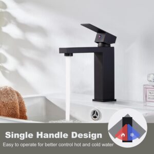 61rJTPB22JL._AC_SL1500_.jpg ARCORA Robinet de Lavabo Pour Salle de Bain Carree Mitigeur a Levier Unique en Acier Inoxydable de 195MM avec Tuyaux d'eau Froide et