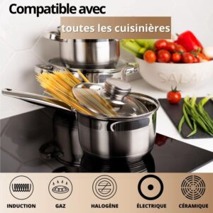 Daniks Standard Marmite Inox 20 cm 4 Litres, Faitout avec Couvercle en Verre, Tous Feux y Compris Induction, avec Echelle de Mesure,
