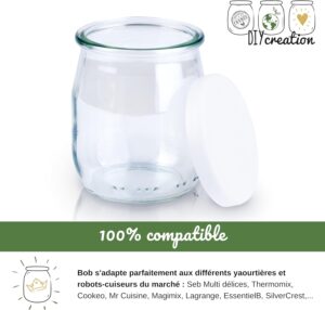 DIY Creation - Lot de 12 Pots de Yaourt en Verre avec couvercles hermetiques - Yaourtiere Seb Multidelices, Thermomix, Cookeo - peti