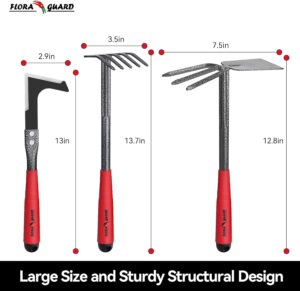 FLORA GUARD 6 Pcs Garden Tools Stainless Steel Garden Tool Kit with 2-in-1 Hoe, Treulle, Rakes, Weeder Knife, Hammered Finish, for P