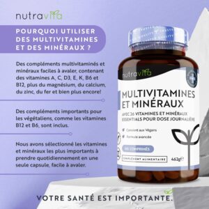 Multivitamines et Mineraux - 365 Comprimes (12 Mois) 26 Nutriments dont Zinc Fer Selenium Vitamine C A B D3 E K - Vitamines, Minerau