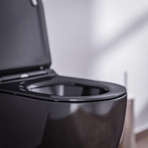 719y7D26AQL._AC_SL1500_.jpg NANO NT2039 Suspended Hollow Bottom Toilet Seat without Flange - Black - Softclose Lid Included, Toilet Seat Seat: Extra Flat