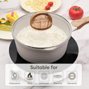 JEETEE Casserole 16 cm,1.5L Avec Couvercle En Verre,Poignee Resistante A La Chaleur,Convient Pour Toutes Les Cuisinieres,Sans Pfoa,B