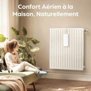 Humidificateur radiateur Praknu céramique 4 pièces crochet
