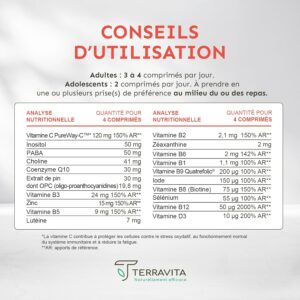 MULTIVITAMINES et Mineraux 20 Nutriments Toutes les Vitamines Essentielles dont B9 B12 C D3 Mineraux dont Zinc Bisglycinate An
