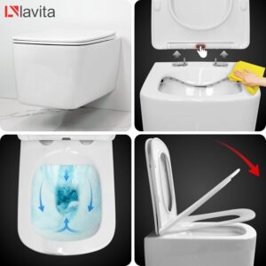 Lavita Duofix Complete Flush Set with lavita Dalia White Rimless Cistern Toilet Seat with Soft-Close Mechanism Delta 25 Control