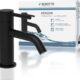 SCHUTTE Aragon 37965 Robinet d'eau Froide Uniquement pour Eau Froide - Robinet de lavabo pour Toilettes d'invites - Robinet pour Pet