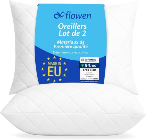 Oreiller 40x70 Lot de 2 pour Le Lit Coussins pour Dormir et Decoratifs Antiallergiques Anti-Acariens et Rafraichissant Rectangulaire