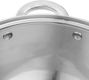 axentia Marmite Traiteur 20 Litres, Faitout en Acier Inoxydable avec Couvercle en Verre et Fond Sandwich Capsule, Convient a Inducti