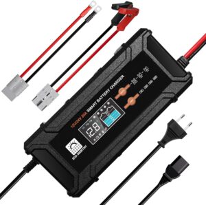 ECO-WORTHY 12V24V 20A Chargeur de Batterie LiFePO4 avec Options Multi-Courant 5A10A15A20A,detection Automatique de la Tension de