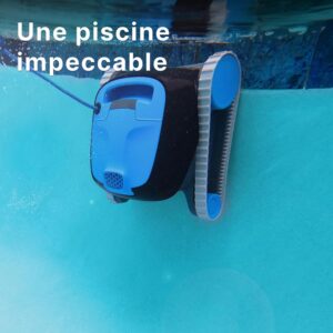 Dolphin Nautilus CC Robot Electric Pool Cleaner - Wall Cleaning, Underground Pool Up to 10 m
