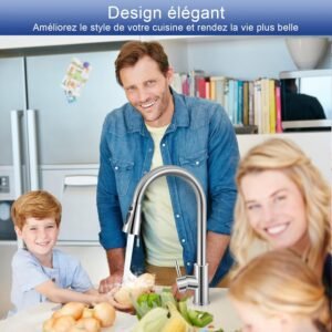 Robinet de cuisine mitigeur douchette extractible Llizuia