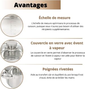 Daniks Standard Marmite Inox 20 cm 4 Litres, Faitout avec Couvercle en Verre, Tous Feux y Compris Induction, avec Echelle de Mesure,