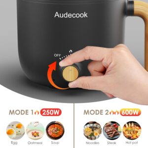 Audecook Hot Pot electrique avec Cuiseur a Vapeur, 1.5L Portable PoeLe Multifonction, Parfait Pour NouillesPaTesœUfsSoupeSteak (