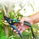 Sécateur de jardin professionnel lames inox antirouille