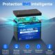 Batterie DCHOUSE 12V 100Ah LiFePO4, BMS 100A ameliore, jusqu'a 15000 cycles, batterie au lithium 1280Wh, parfaite pour les camping-c